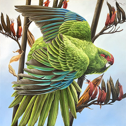Craig Platt nz bird artwork, Kakariki, oil on canvas